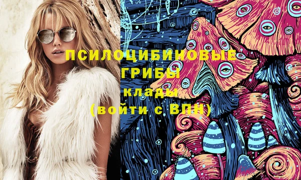 круглые Коряжма